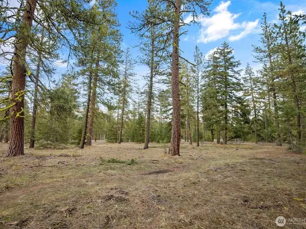 28 Wanawish Loop, Cle Elum, WA 98922