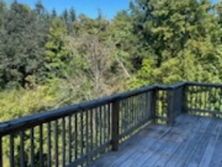 5210 Nesting Way — Photo 3