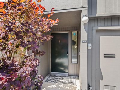 18013 Sahara Rd, Hayward, CA, 94541