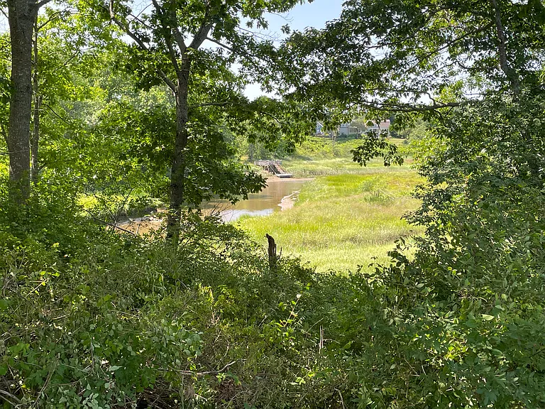 339 River Rd — Photo 5