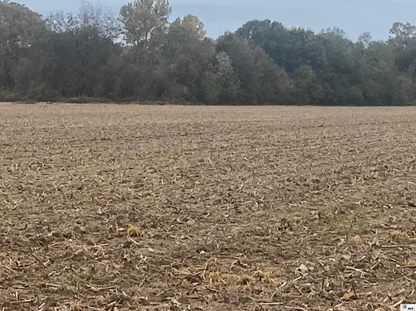 0 W Crew Lake Loop, Rayville, LA 71269