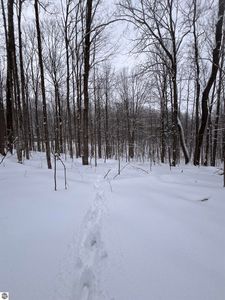 Vl 22 Lake Louise Rd, Interlochen, MI, 49643