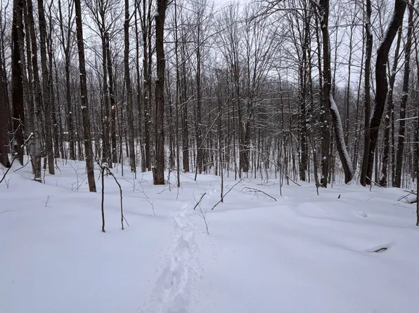Vl 22 Lake Louise Rd, Interlochen, MI 49643