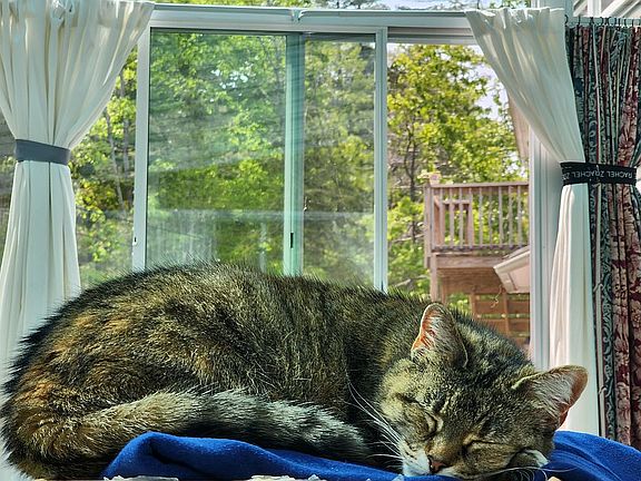 5th image of 1 Denbow Rd