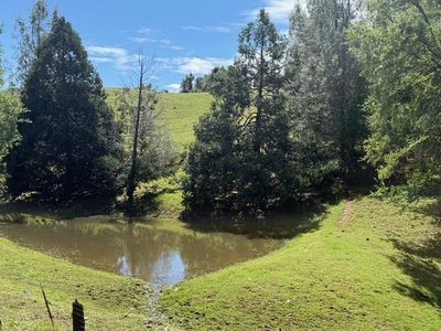 Raquepaw Ln, Jackson, CA, 95642