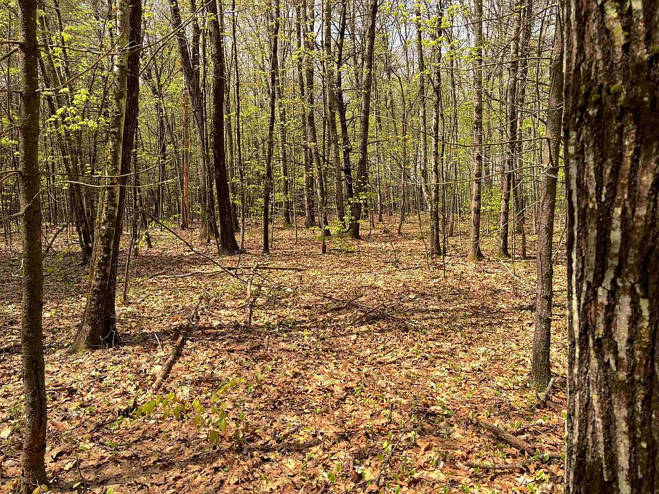 2nd image of 000 Kearsarge Mt Road
