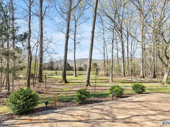 601 Pond View Ln SE, Brownsboro, AL 35741