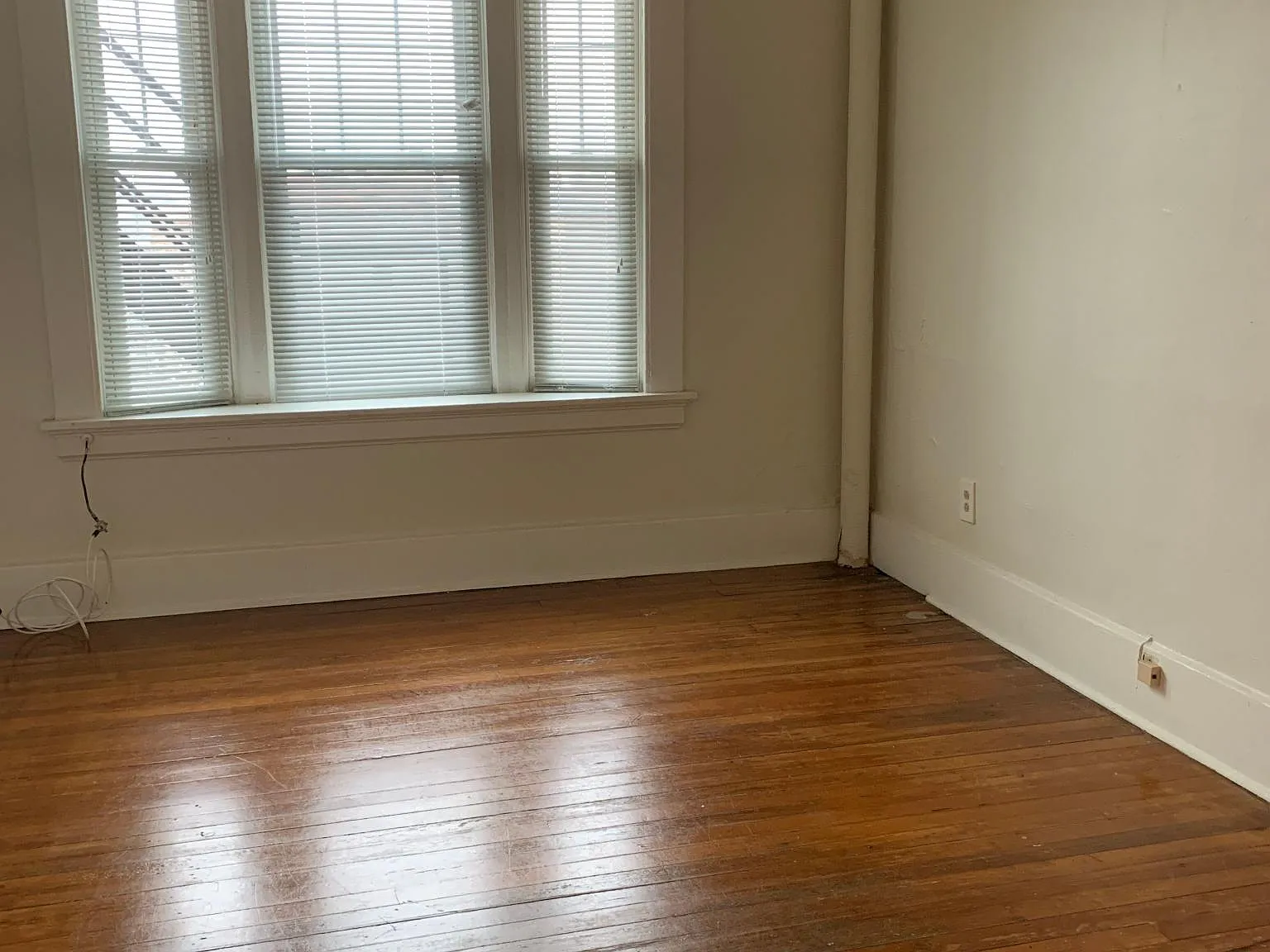 1 bed, 375 sqft, $750 — Photo 3