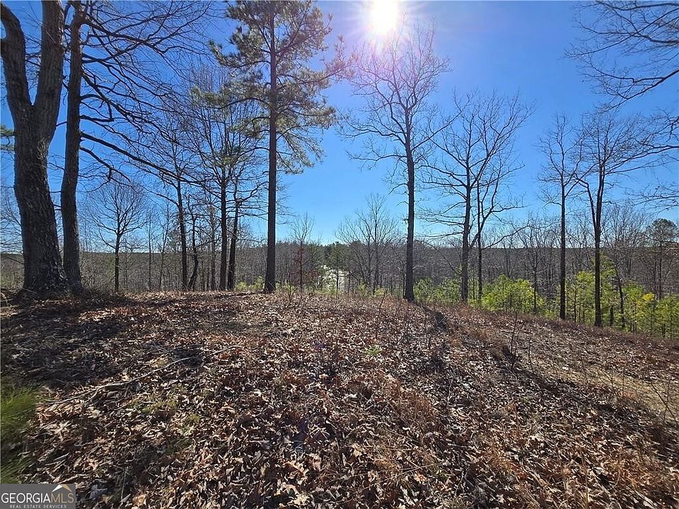 1st image of 0 Brushy Mountain Rd