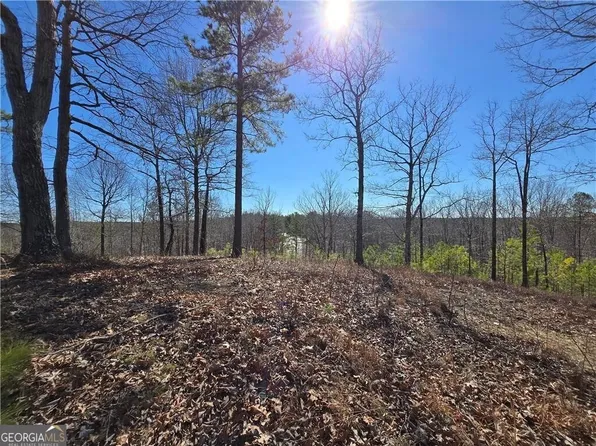 0 Brushy Mountain Rd, Rockmart, GA 30153