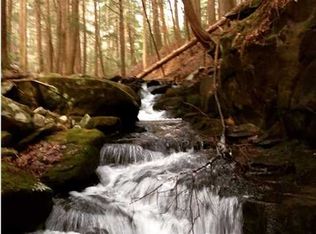 105 Braden Ln, Coalmont, TN 37313