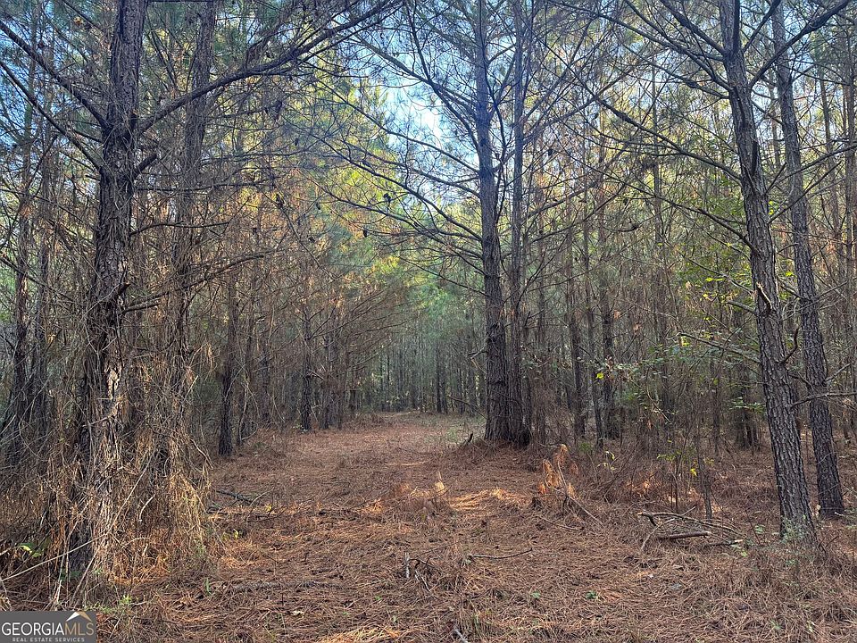 2nd image of TRACT 11 Butler Rd