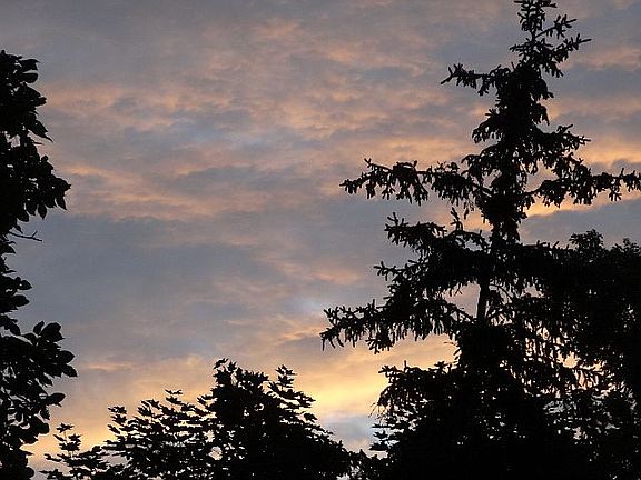 {{EVENING SKY VIEW FROM DECK