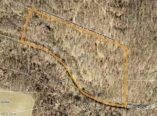 10595 Orlon Rd NE, Mechanicstown, OH 44651