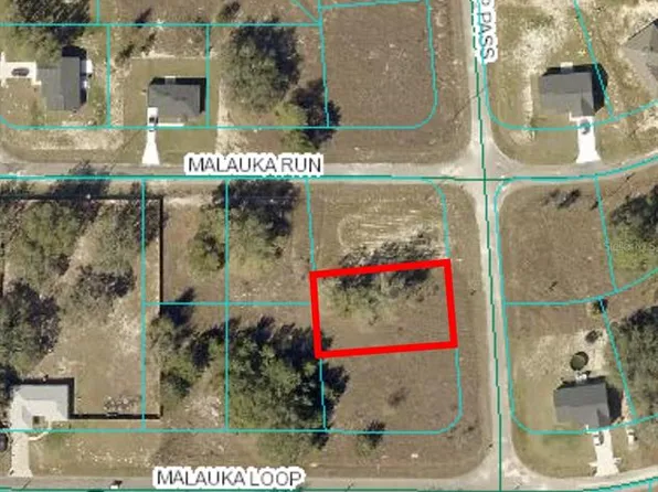 0 Malauka Loop Pass #2, Ocklawaha, FL 32179