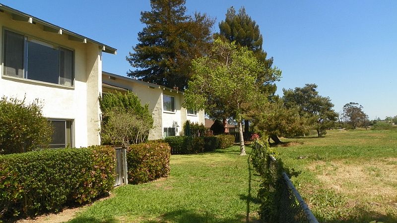 The back area open space
