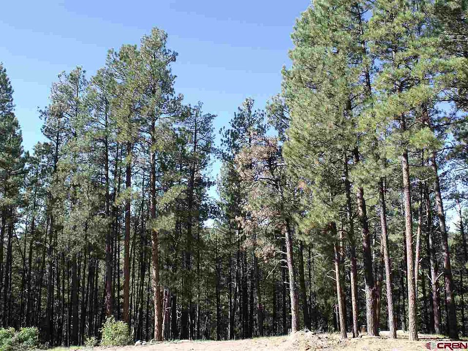 1st image of 201 Pine Top Dr