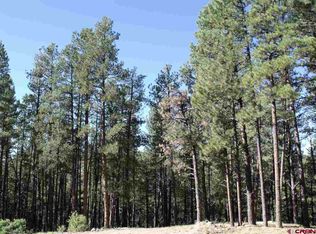 201 Pine Top Dr, Bayfield, CO 81122