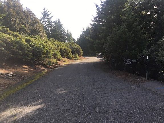 4th image of 105 Pepperwood Dr