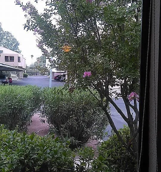 Living room view