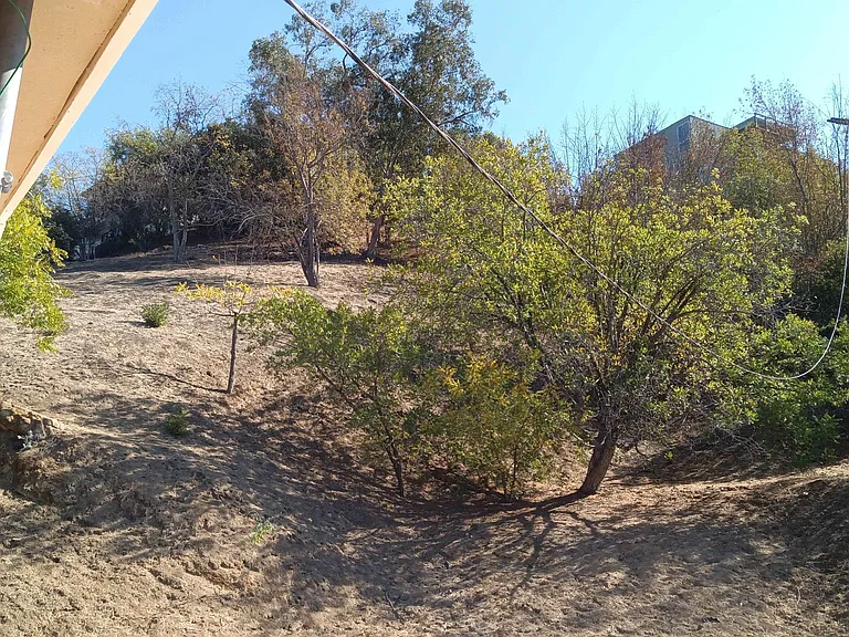 1514 Ewing St — Photo 15