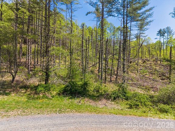 4th image of 0 White Pine Ln #19