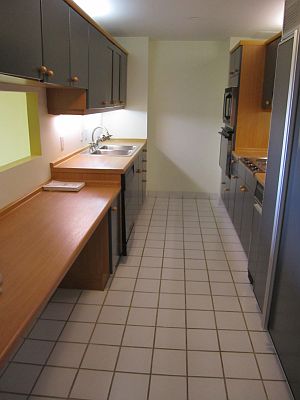 Kitchen (alt view)