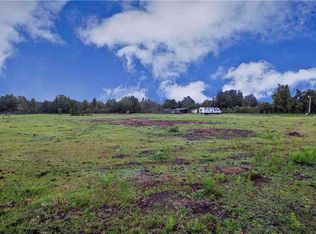 12157 Old Dade City Rd, Kathleen, FL 33849