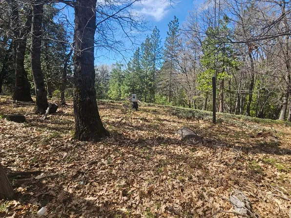 23470 Pack Trail Rd, Sonora, CA 95370