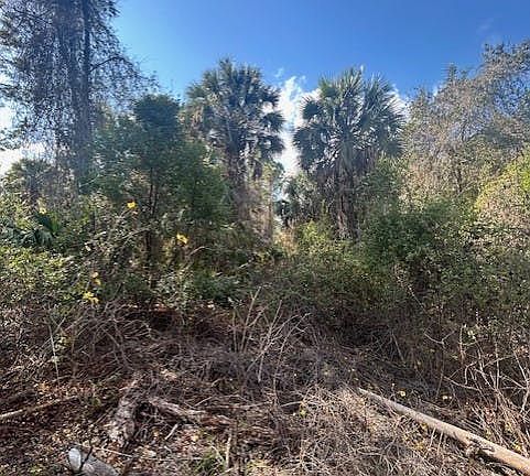 3rd image of 225 Edgewood Dr
