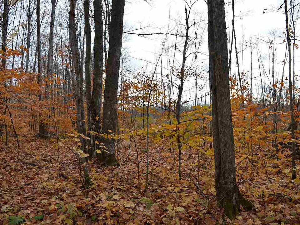1st image of Hardwood St