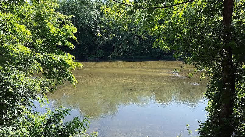Creek Front!!!