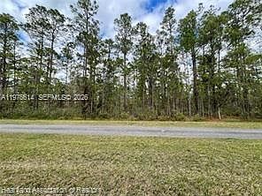3rd image of 0 Oleander Dr