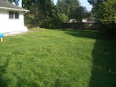 Outside grass area