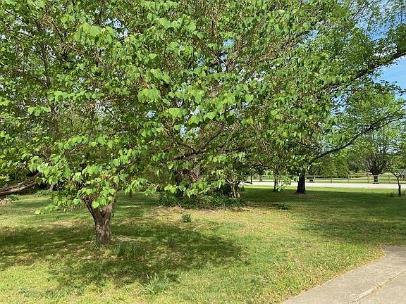 West side front yard