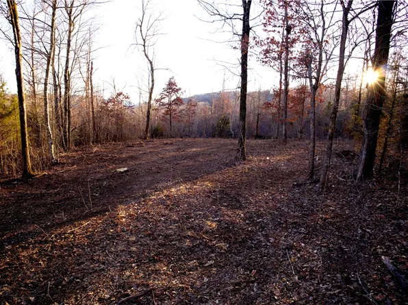 0 Madison #5540, Combs, AR 72721