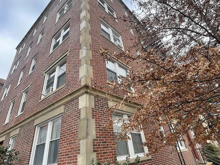 15 Linnaean St #8 — Photo 7