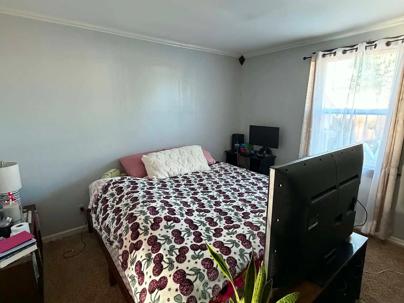 1 bed, 970 sqft, $1,600 — Photo 3