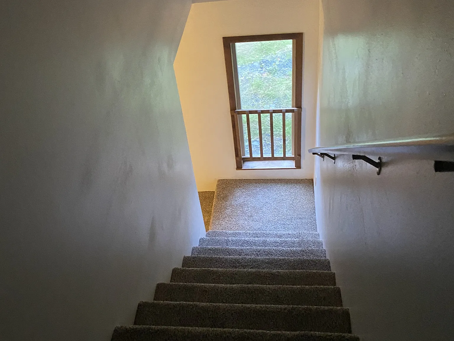 10429 Bearpaw Drive - 1 — Photo 3