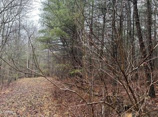 0 Woodland Trl LOT 22, Sunbright, TN 37872
