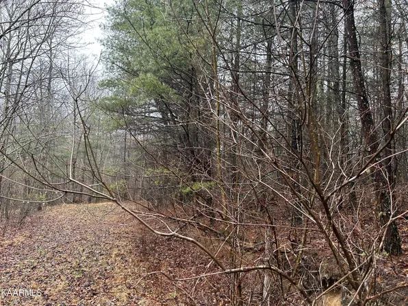 0 Woodland Trl Lot 22, Sunbright, TN 37872