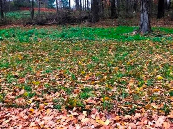 2850 N Morning Glory Ave #37, Rolling Prairie, IN 46371