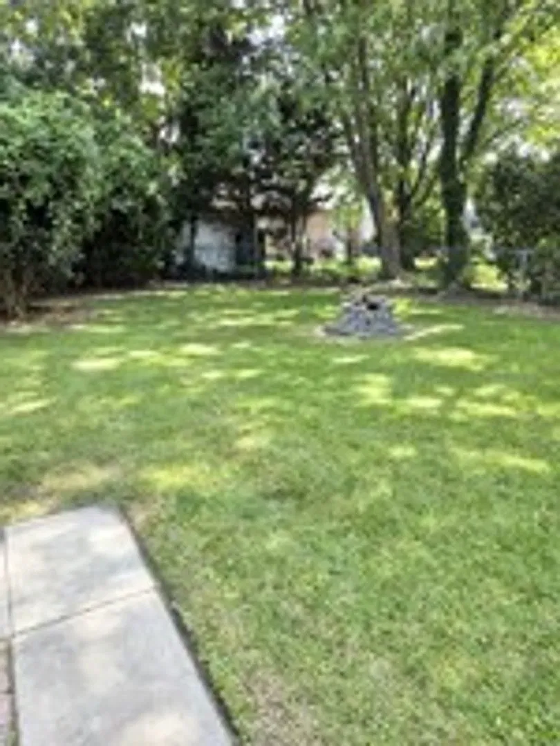 Gowrie Park — Photo 3