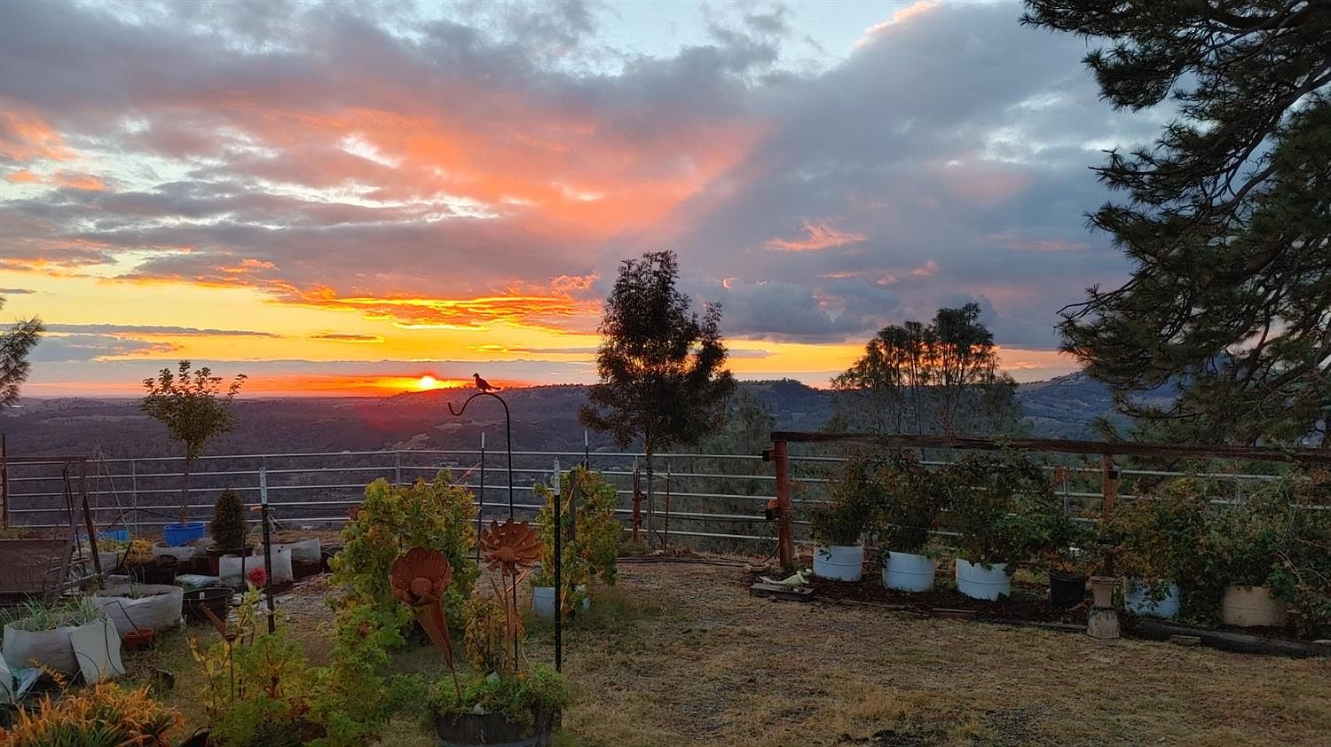 3466 Howard Rd, San Andreas, CA 95249 MLS 223080213 Zillow