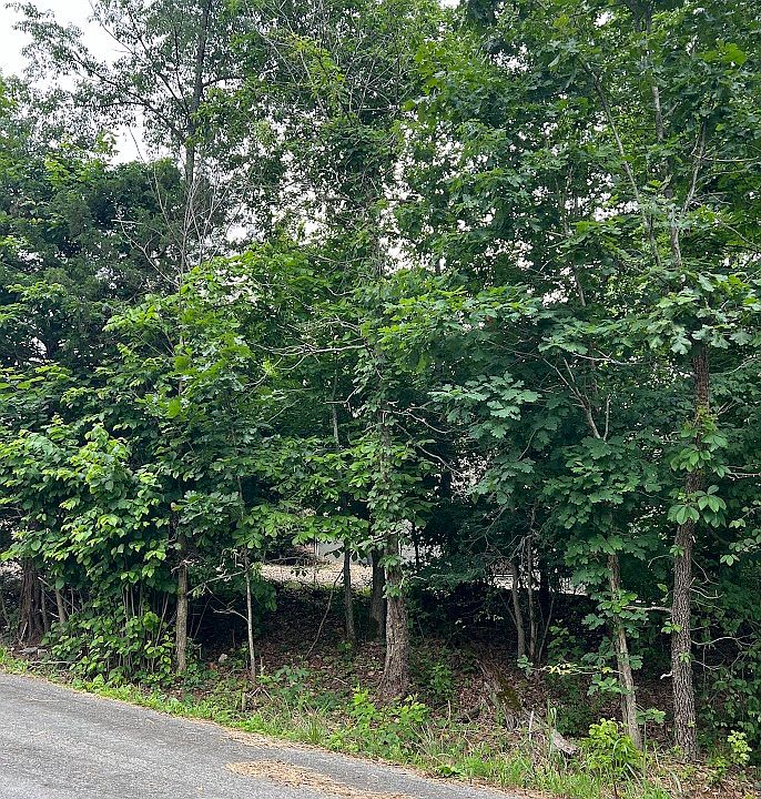 2nd image of Nottingham Dr #35