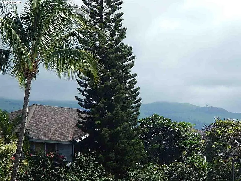 160 Keonekai Rd #25-202 — Photo 31