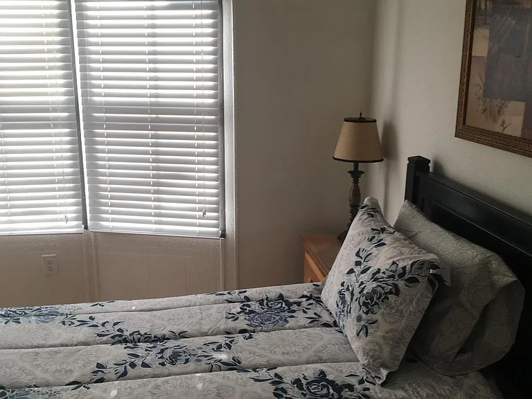 1025 Lake Shadow Dr — Photo 29