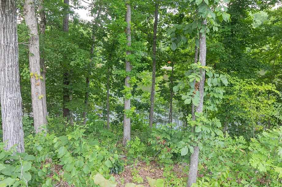 2nd image of 0 Twin View Cir #56 & 57