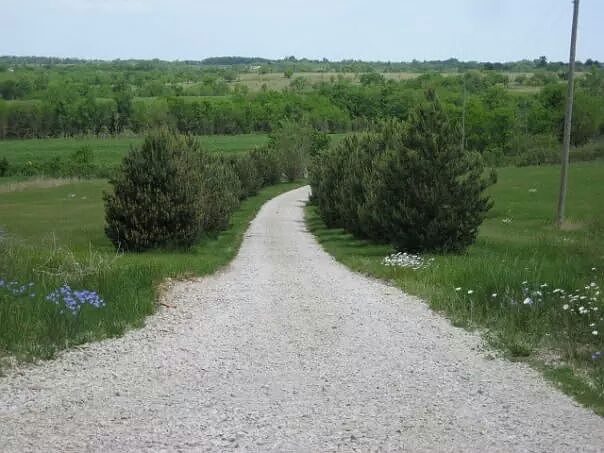 driveway