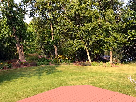 View from Backyard Deck